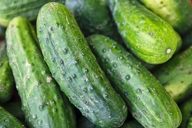 CUCUMBER