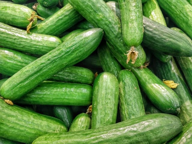 CUCUMBER