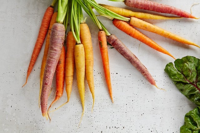 Gerbils and Carrots