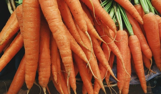 Gerbils and Carrots