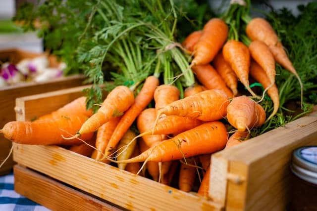 Gerbils and Carrots