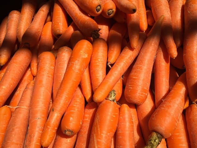 Gerbils and Carrots