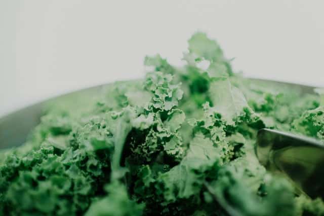 Guinea Pigs Eat Kale