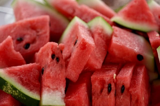 Guinea Pigs and Watermelon