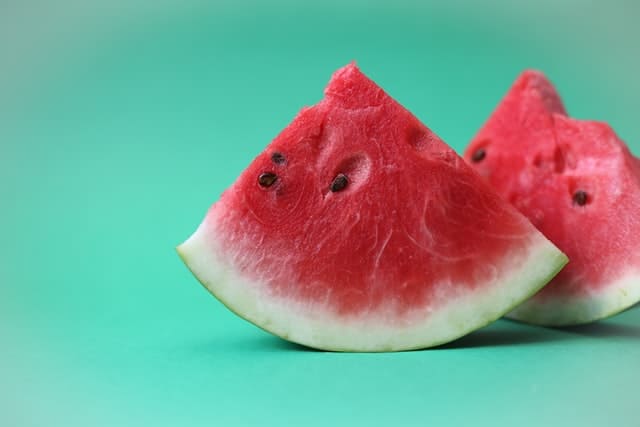 Guinea Pigs and Watermelon