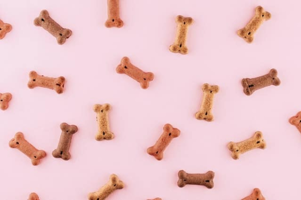 Dog Food